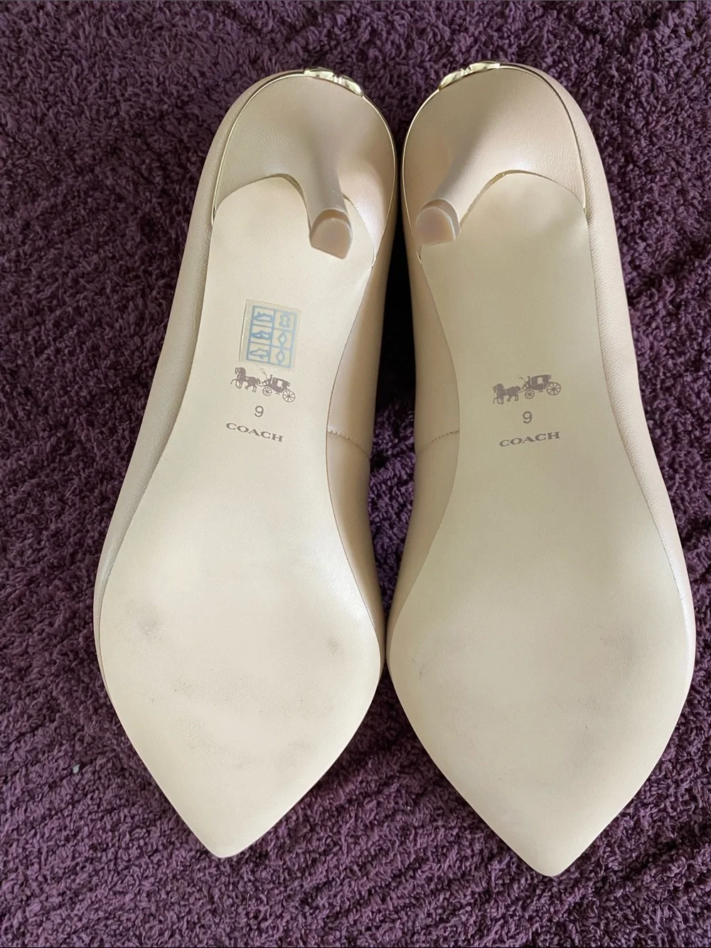 Coach Women's Pointed-Toe Pumps in Blush Nude
